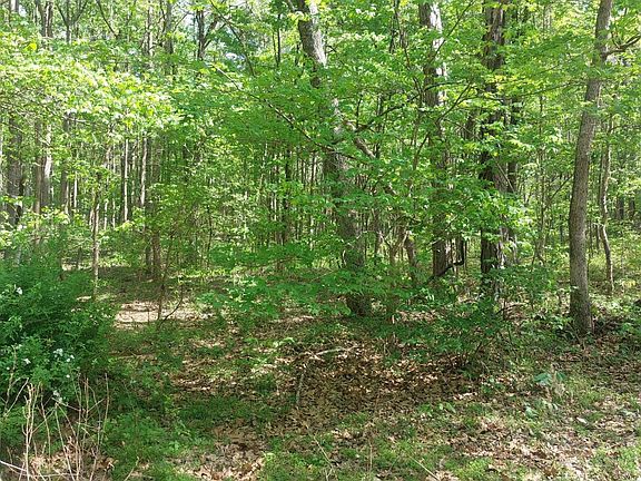 3rd image of 8000 W Campground Rd