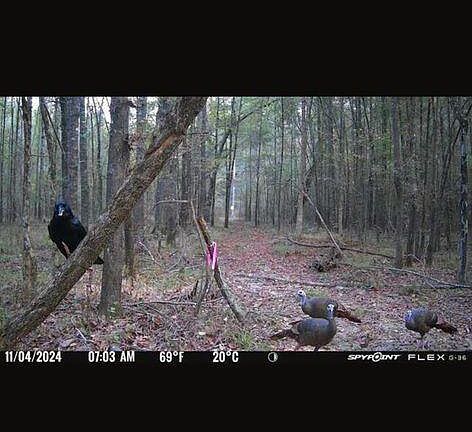 4th image of Swamp Rd Lot A-e