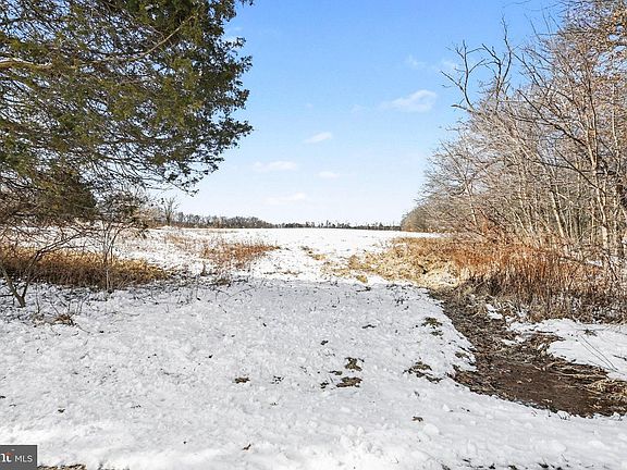 3rd image of 298 Tapeworm Rd