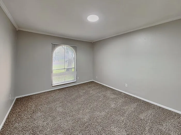 117 Cooper St — Photo 14