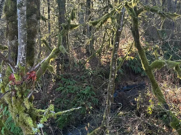SW Rock Creek Rd #1, Sheridan, OR 97378