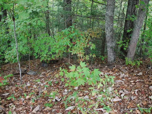 2017 Ridgecrest Loop Ln Lot 25, Sevierville, TN 37876