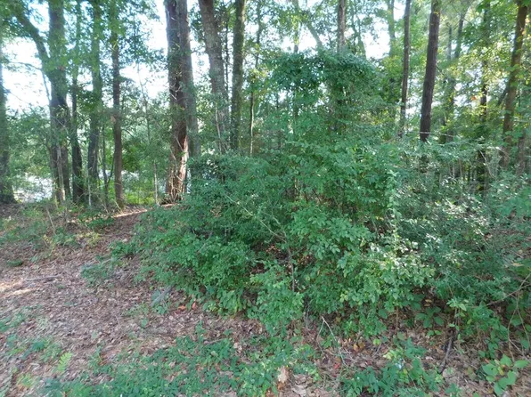 0 Briarcliff Rd Lot 5, Ozark, AL 36360