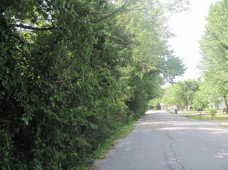 2nd image of 2263 S Laverne Ave