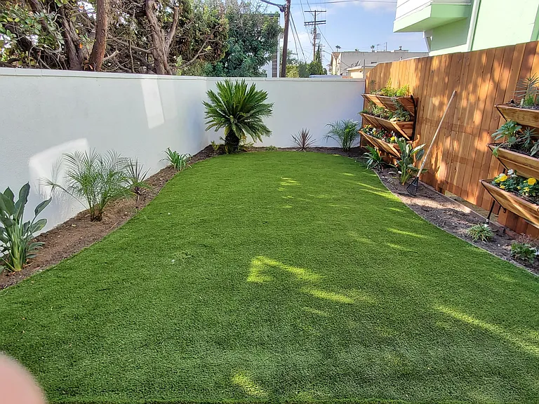 shared back yard