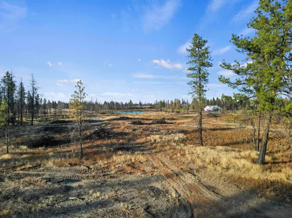 W Page Pond Ln, Medical Lake, WA 99022