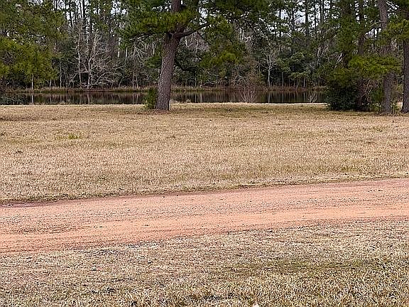 View from front porch. 