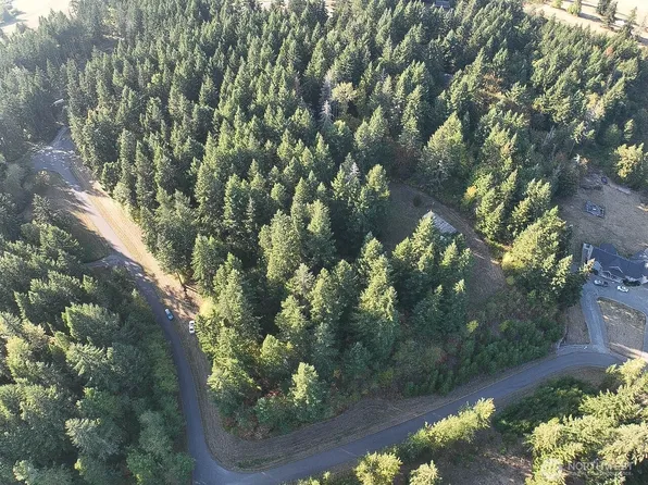 12626 Gilling Lane SE, Yelm, WA 98597