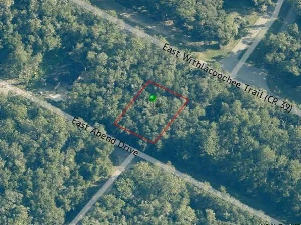 687 E Abend Dr, Citrus Springs, FL 34434