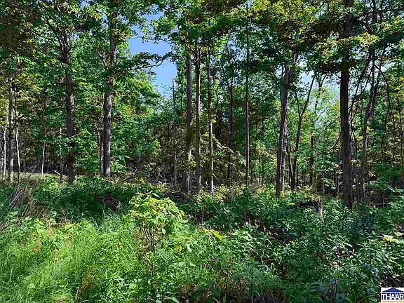 4th image of 0 County Road 1200 North Acres Lot 4