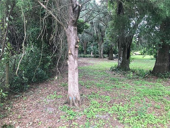 4th image of 2895 County Road 505