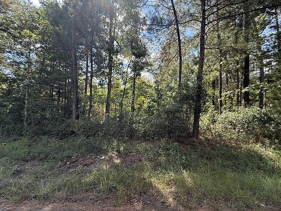 3rd image of R32312 Sandy Creek Rd