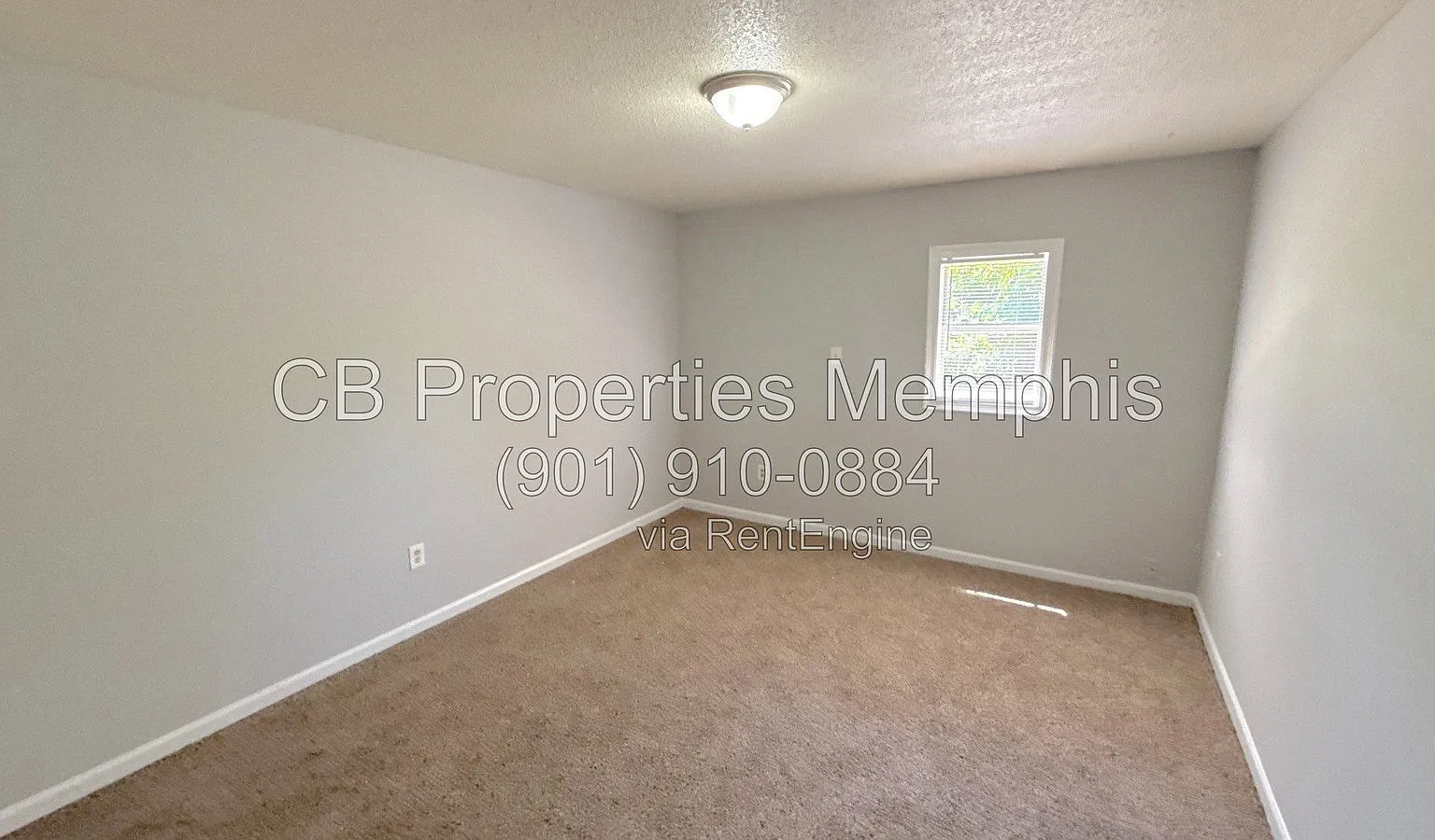 2 bed, 1.5 bath, 1072 sqft, $995 — Photo 4