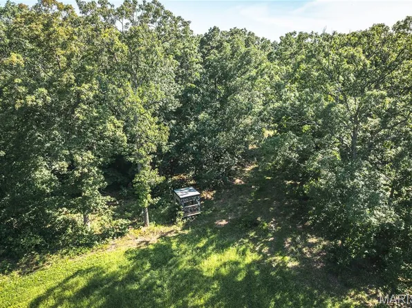 0 Floyd Tower Rd, Potosi, MO 63664