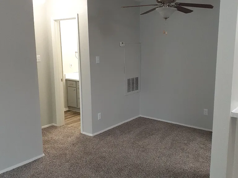 Two Tone Paint with Plush Carpeting