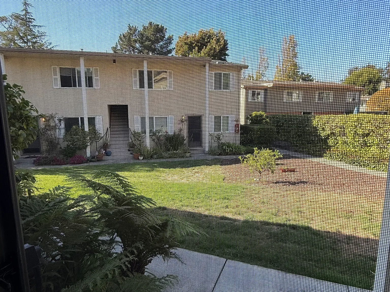 1 bed, $2,400 — Photo 2