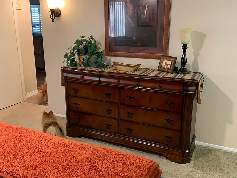 18710 N Desert Glen Dr — Photo 22