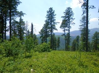 T.b.d. Lost Irishman Rd., Lead, SD 57754