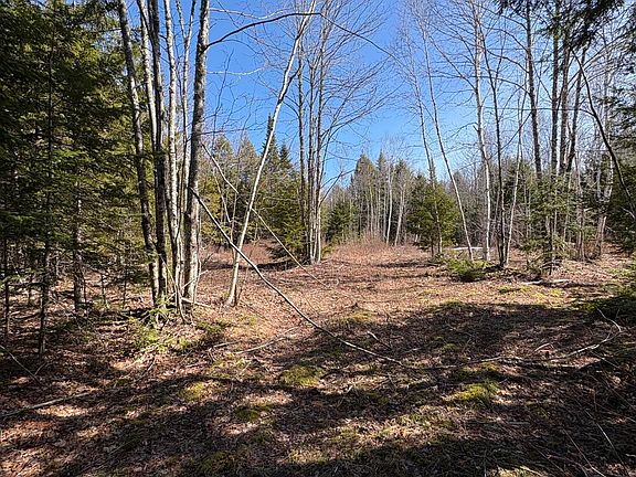 3rd image of Lot 116 Bass Overlook