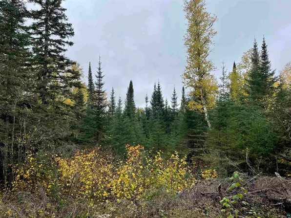 4XX Lost Lake Rd #B, Hovland, MN 55606