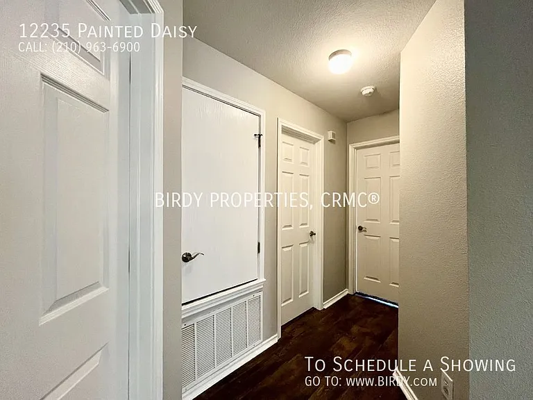 12235 Painted Daisy — Photo 23