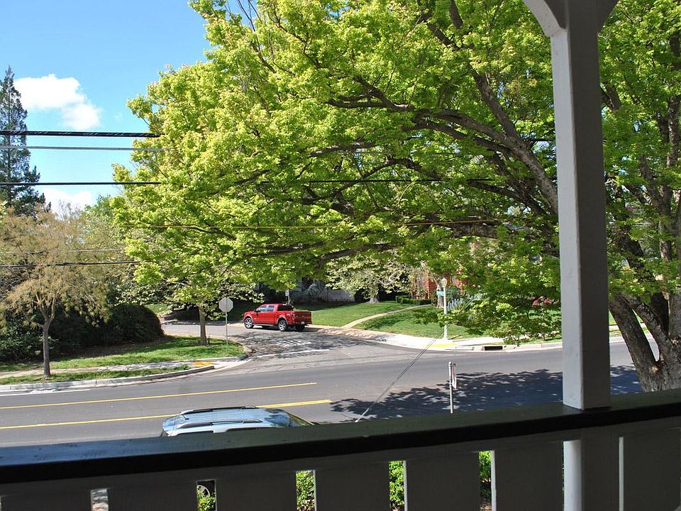 Tree lined street