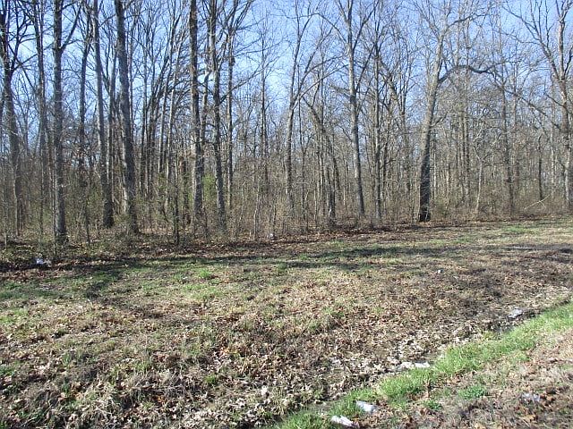 2nd image of 2000 Soper Dr