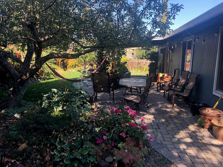 Backyard.