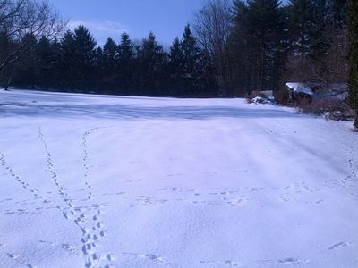 5048 E Valley Rd, Center Valley, PA, 18034