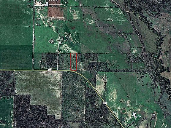 2nd image of Fm 339