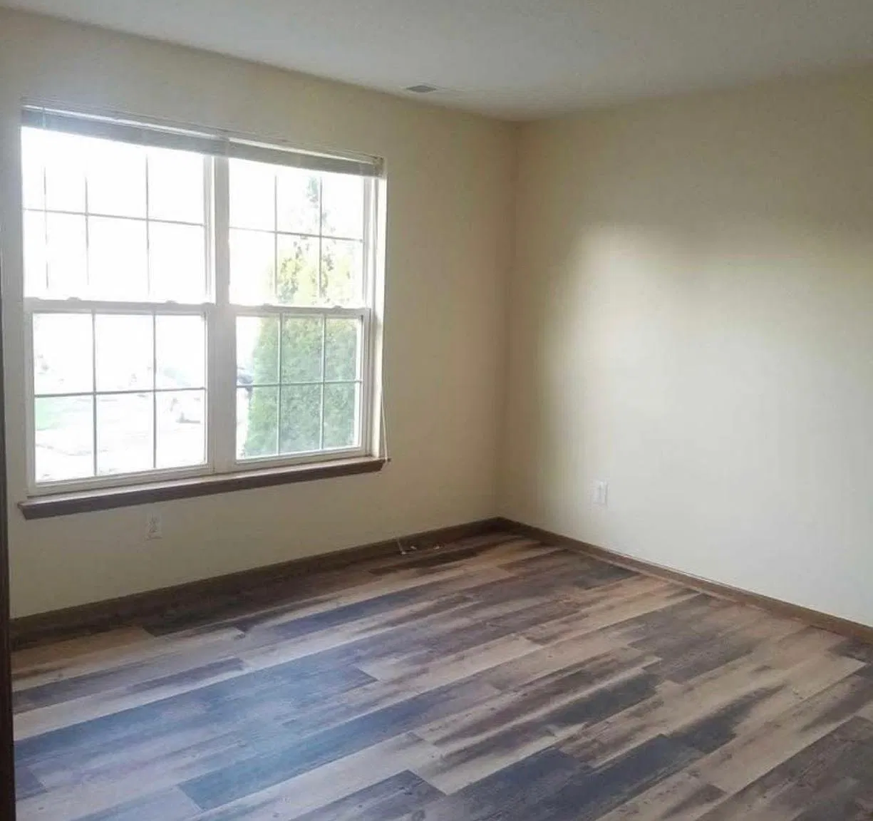 3 bed, 1377 sqft, $2,000 — Photo 4