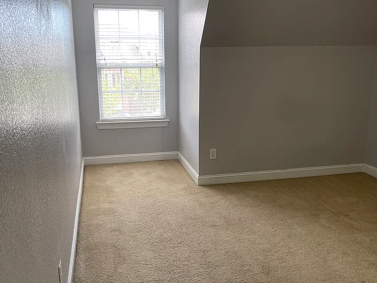 4593 Leamore Square Rd — Photo 18