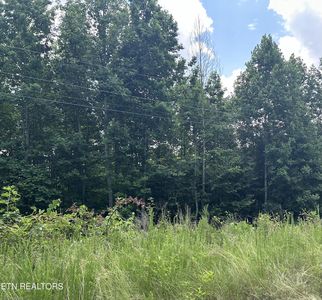 0 Whistle Valley Rd Lot 564, New Tazewell, TN, 37825