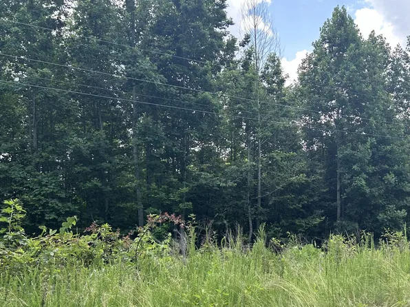 0 Whistle Valley Rd Lot 564, New Tazewell, TN 37825