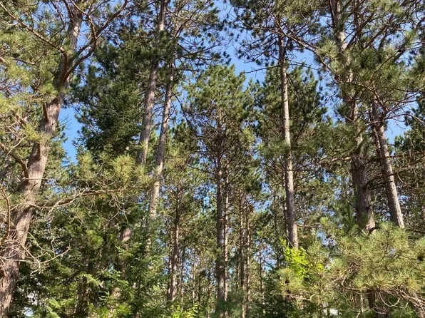 W Central Ave Tract 2037, Brantwood, WI 54513