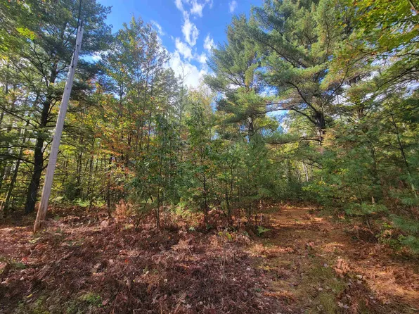 Vl Norway Rd, Saint Helen, MI 48656