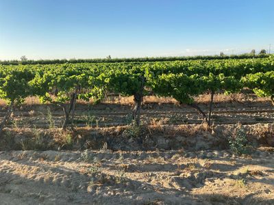 4417 S Greenwood Ave, Sanger, CA, 93657