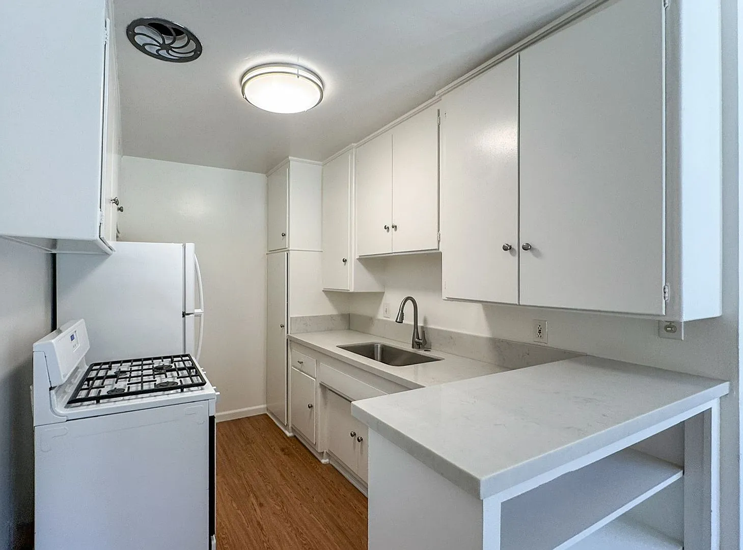 Downstairs 1+1 | Spacious & Bright — Photo 4