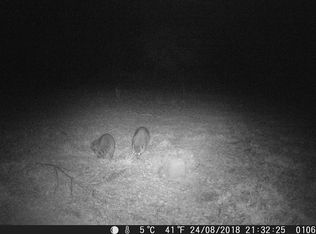 994 Amherst Rd, Paris, TX 75462