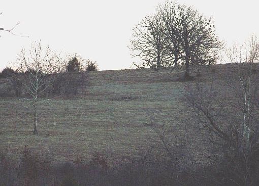 5th image of 19392 N Chaney Cemetery Dr