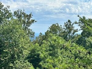5th image of 22 Summit Dr