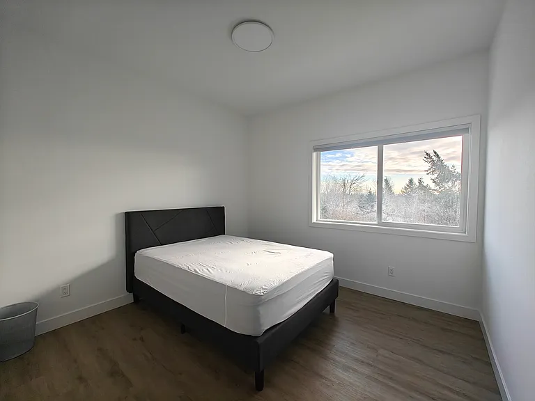 Second bedroom with full size bed.