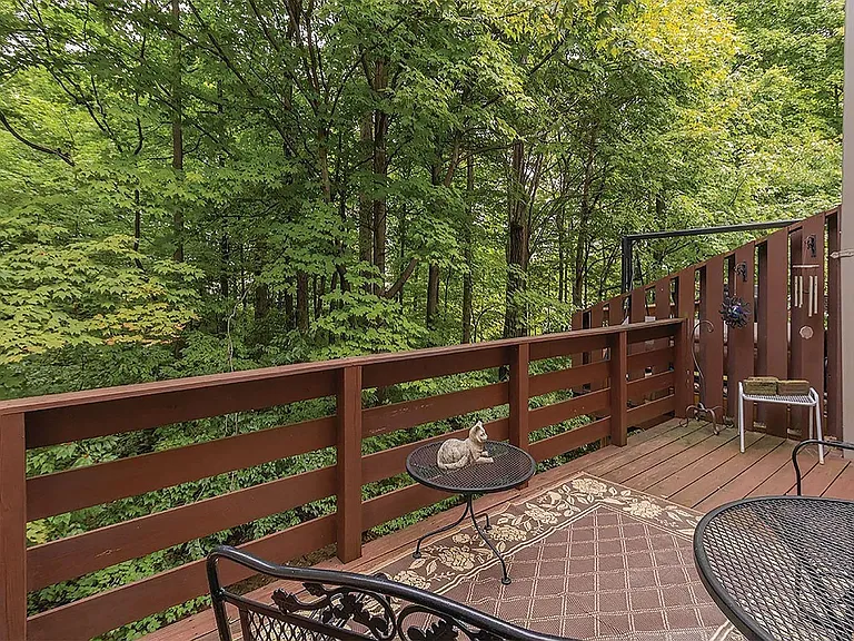 Woods view