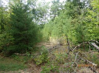 Canvasback Ct, Whittier, NC 28789