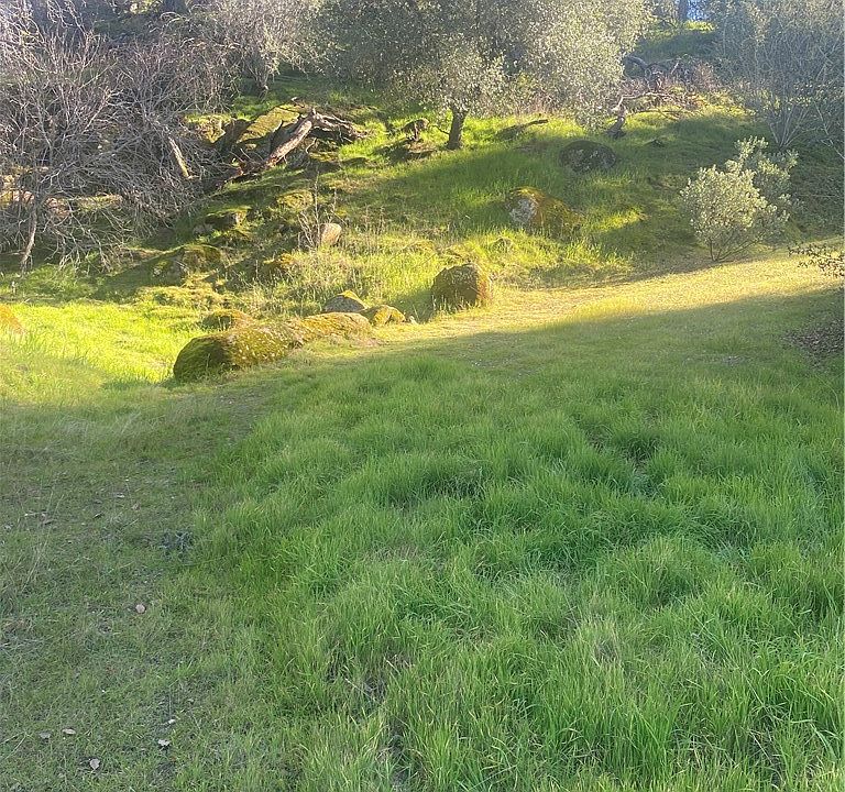 1st image of 0 Garnet Creek Ln