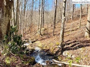 2576/ Rock Fence Rd, Creston, NC 28615