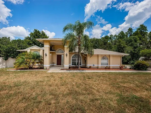 25015 Acorn Dr, Land O Lakes, FL 34639