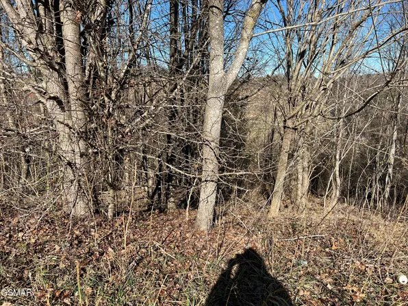 LOT 3 Baldwin View Dr, New Market, TN 37820
