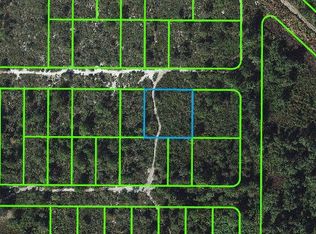 601 Nebraska Ave, Lake Placid, FL 33852