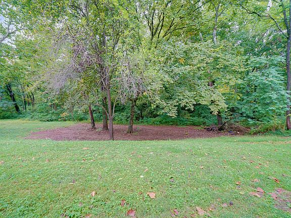 Backyard view